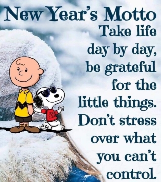 New Year's Motto: Take life day by day, be grateful for the little things. Don't stress over what you can't control.