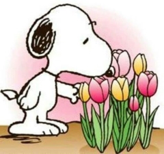 Snoopy and flowers